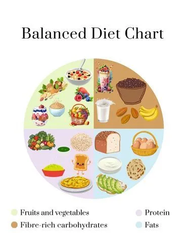 how-many-meals-should-you-eat